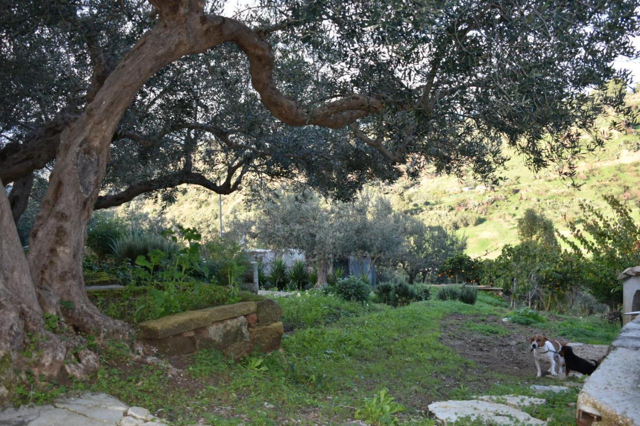 La Casetta Nel Bosco Apartamento Calatafimi Exterior foto