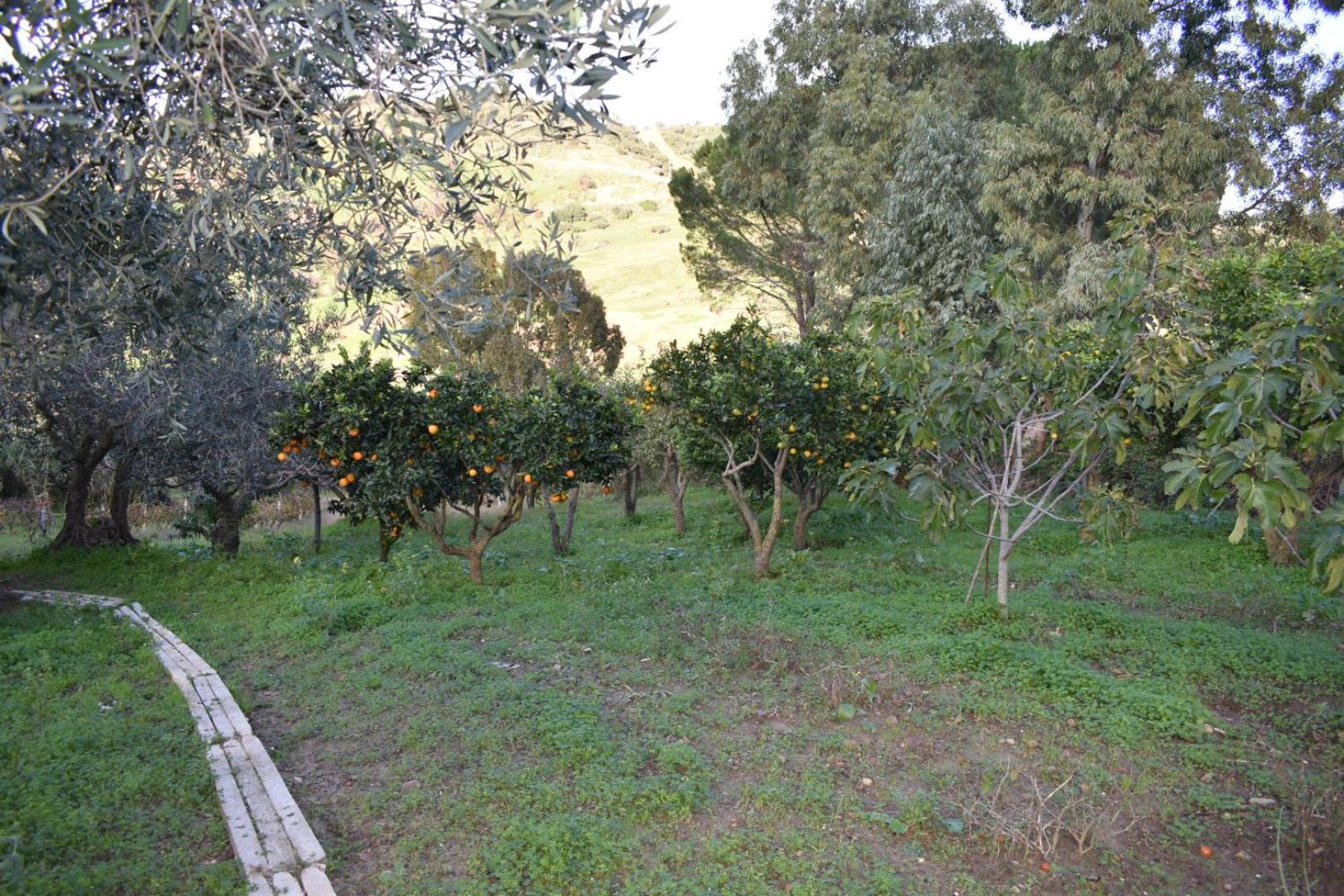 La Casetta Nel Bosco Apartamento Calatafimi Exterior foto