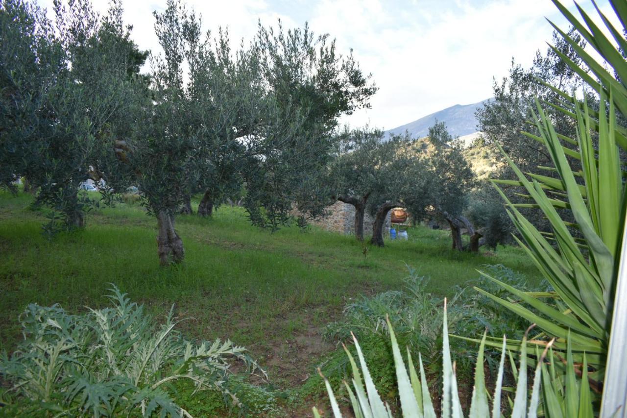 La Casetta Nel Bosco Apartamento Calatafimi Exterior foto