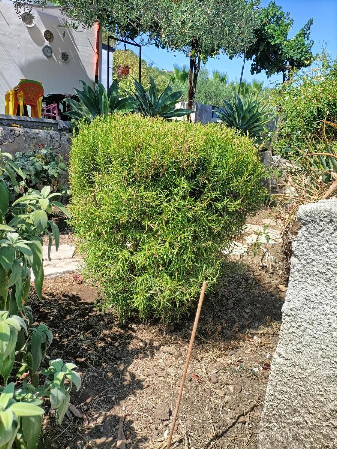 La Casetta Nel Bosco Apartamento Calatafimi Exterior foto