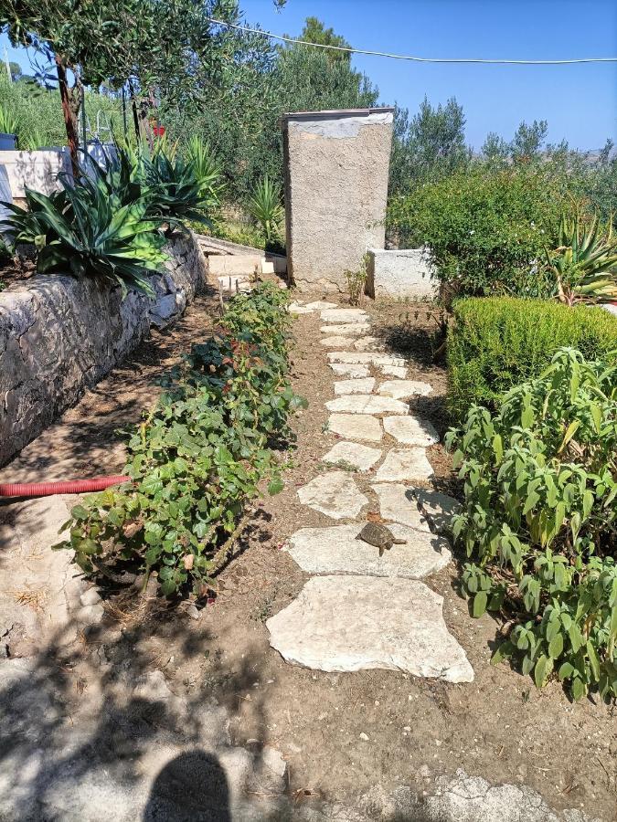 La Casetta Nel Bosco Apartamento Calatafimi Exterior foto